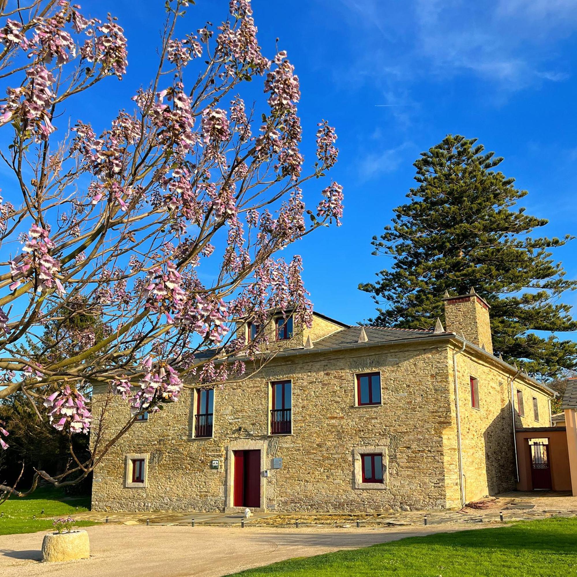 巴雷罗斯 Araucaria House旅馆 外观 照片